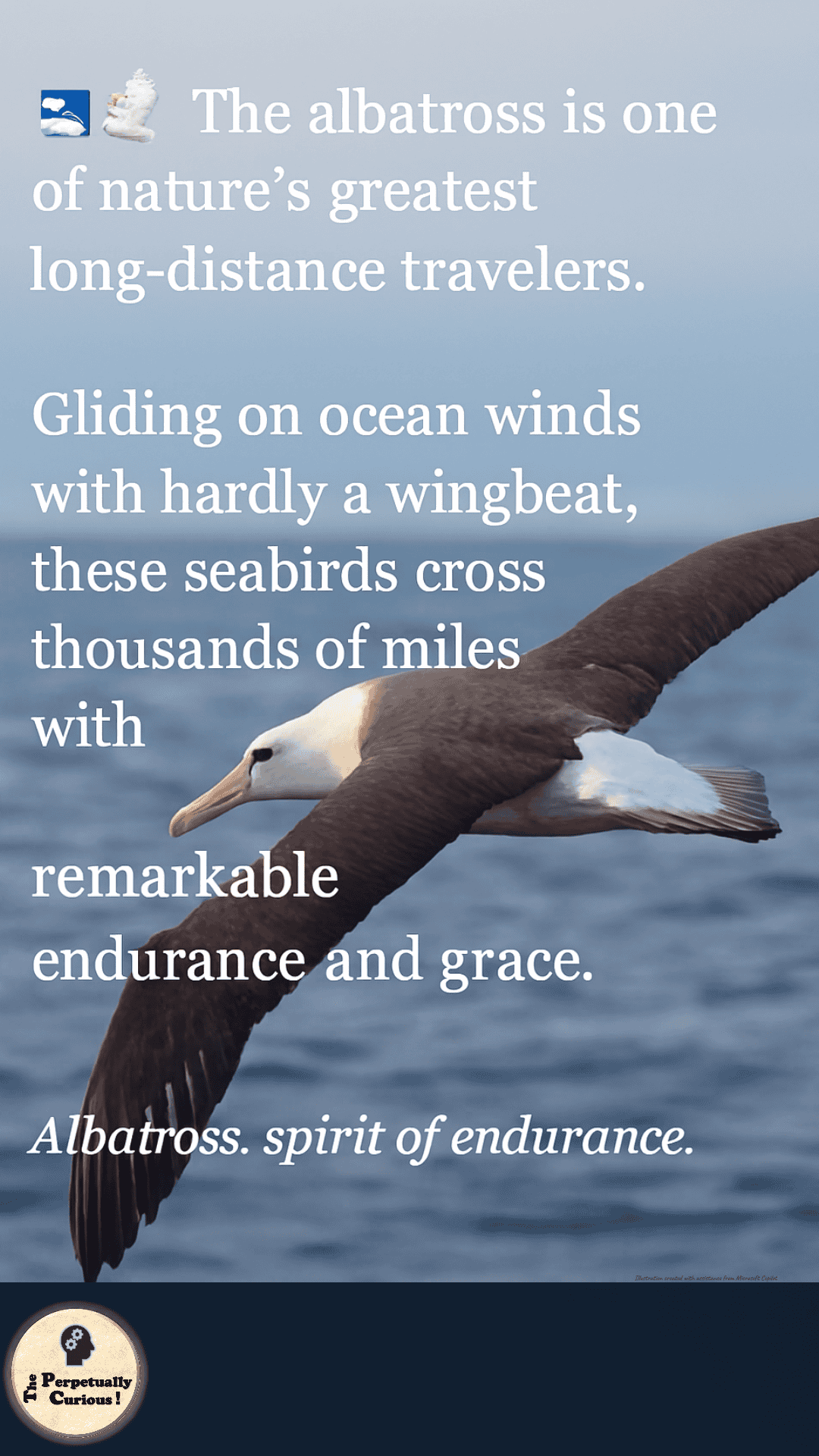Albatross in flight over an open ocean landscape