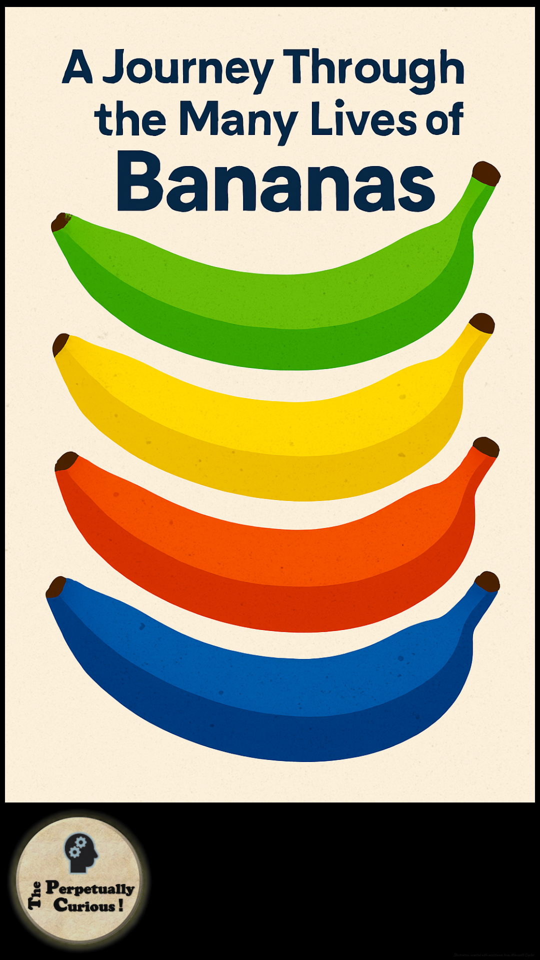 Banana types visual showing the diversity of edible banana varieties