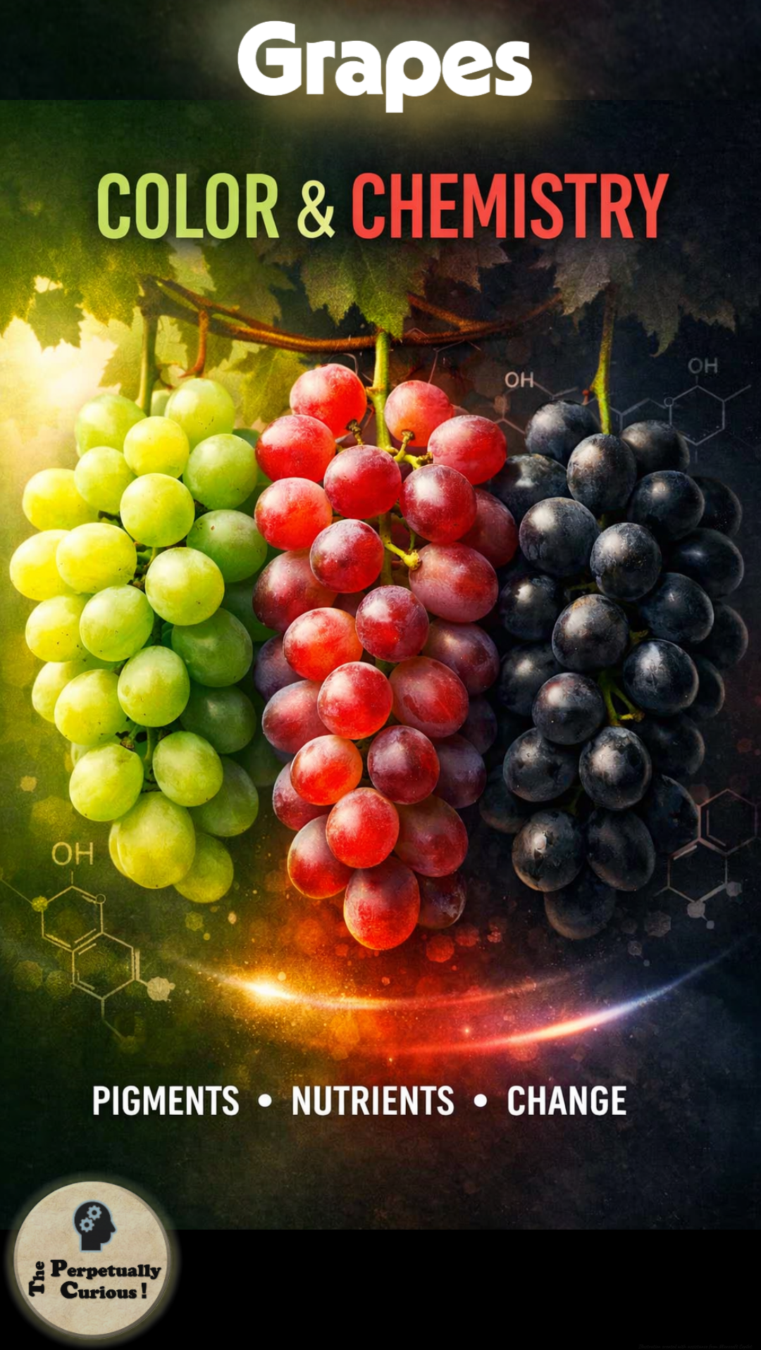 Grape colors visual showing the natural variety of grapes and their pigments