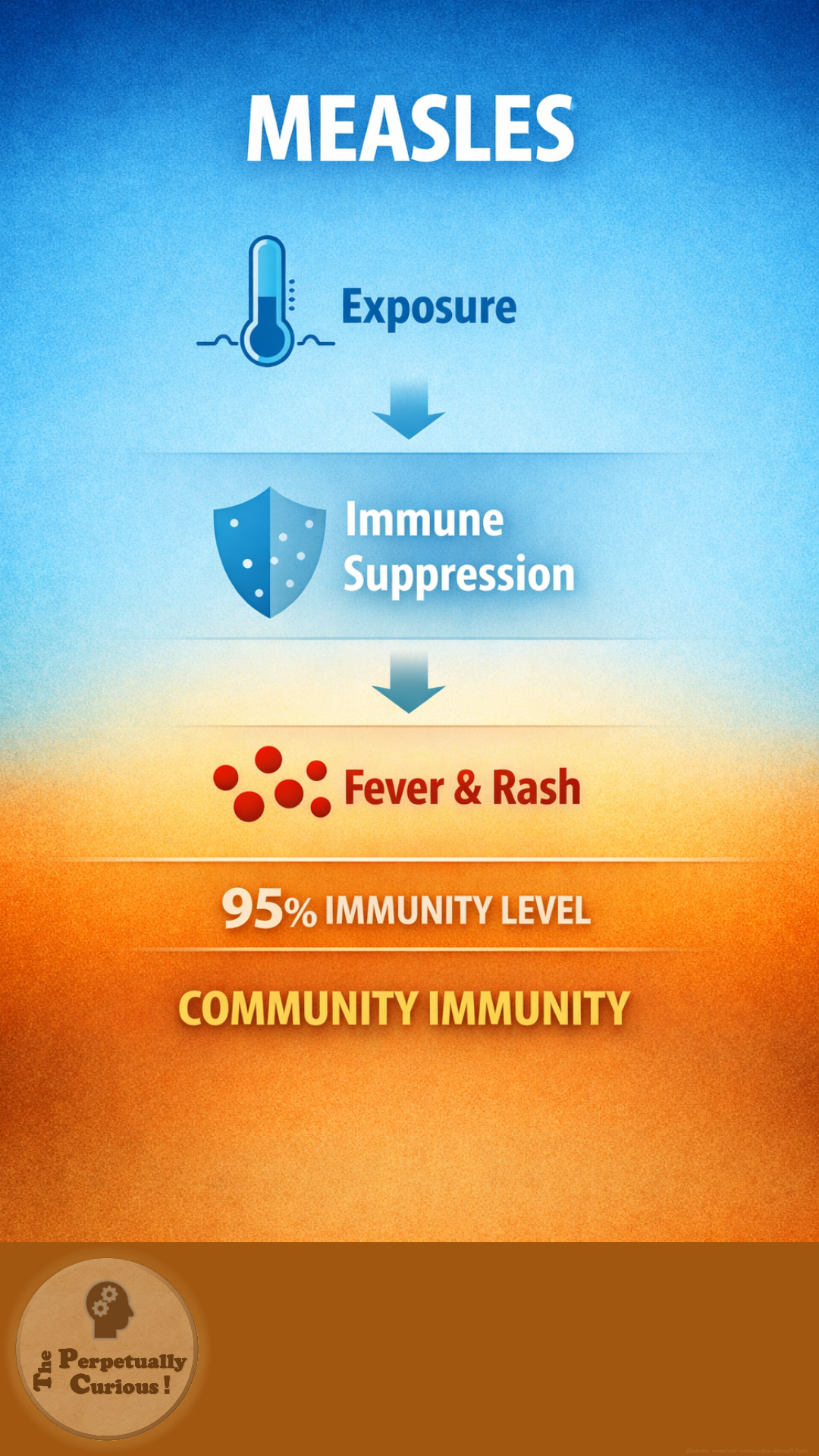 Measles article visual exploring infection, transmission, and immune response