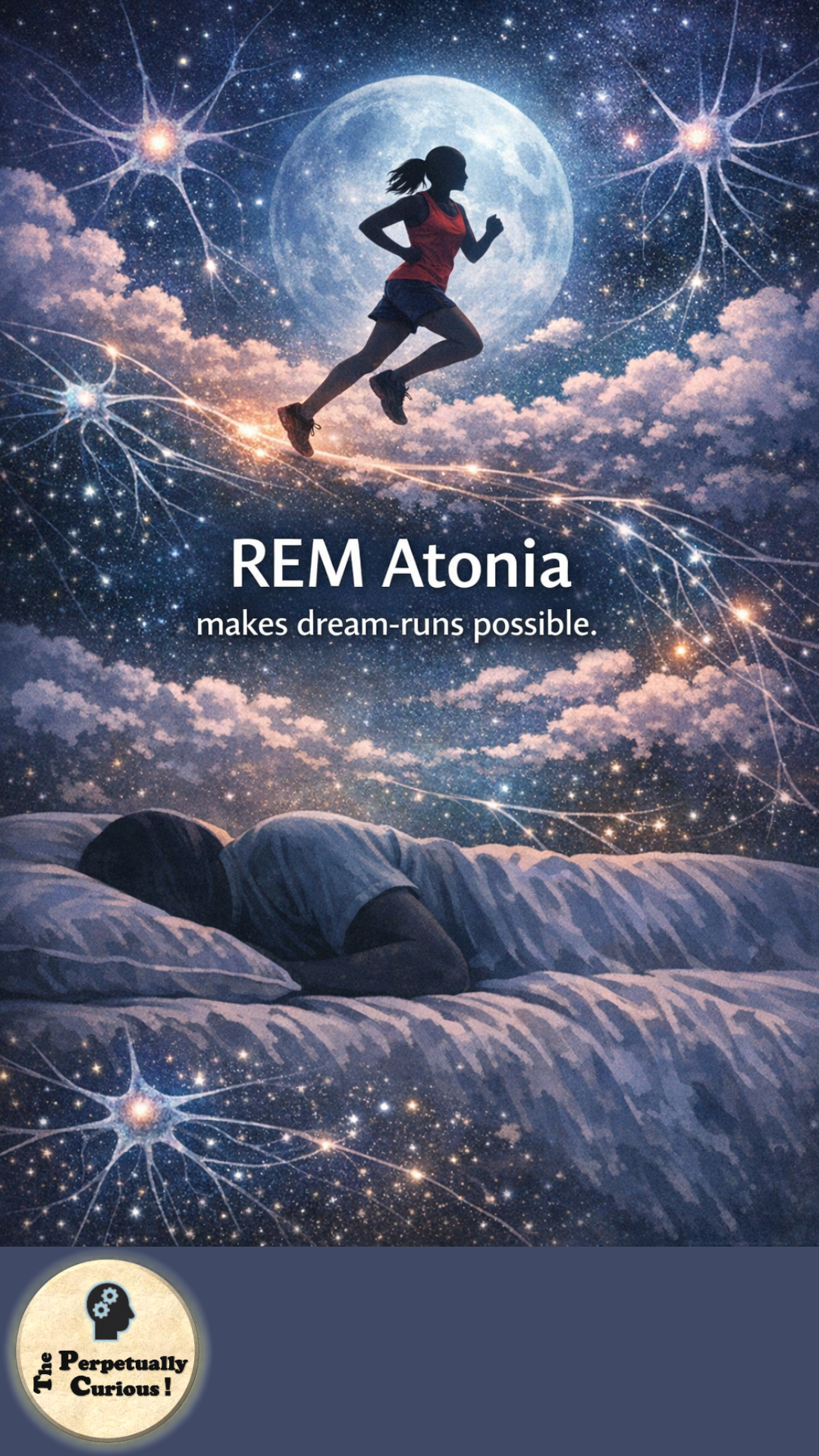 Dreams article visual exploring sleep, memory, and the inner activity of the brain