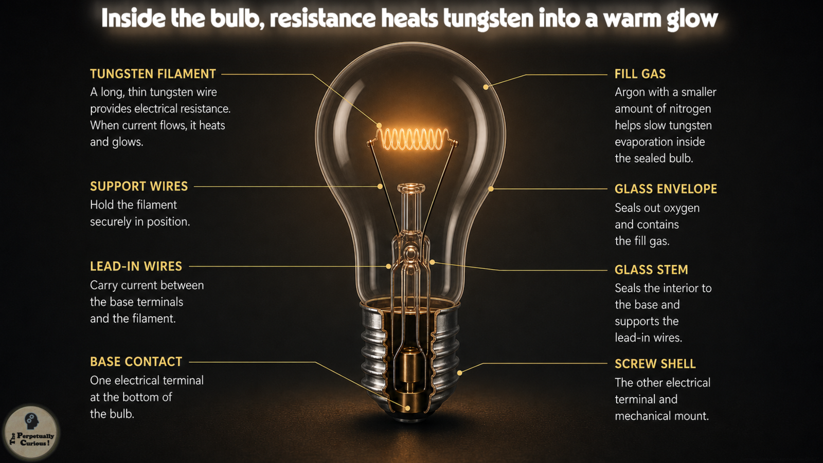Technical rendering of a cutaway incandescent bulb identifying the tungsten filament, fill gas, glass envelope, support wires, lead-in wires, base contact, and screw shell.
