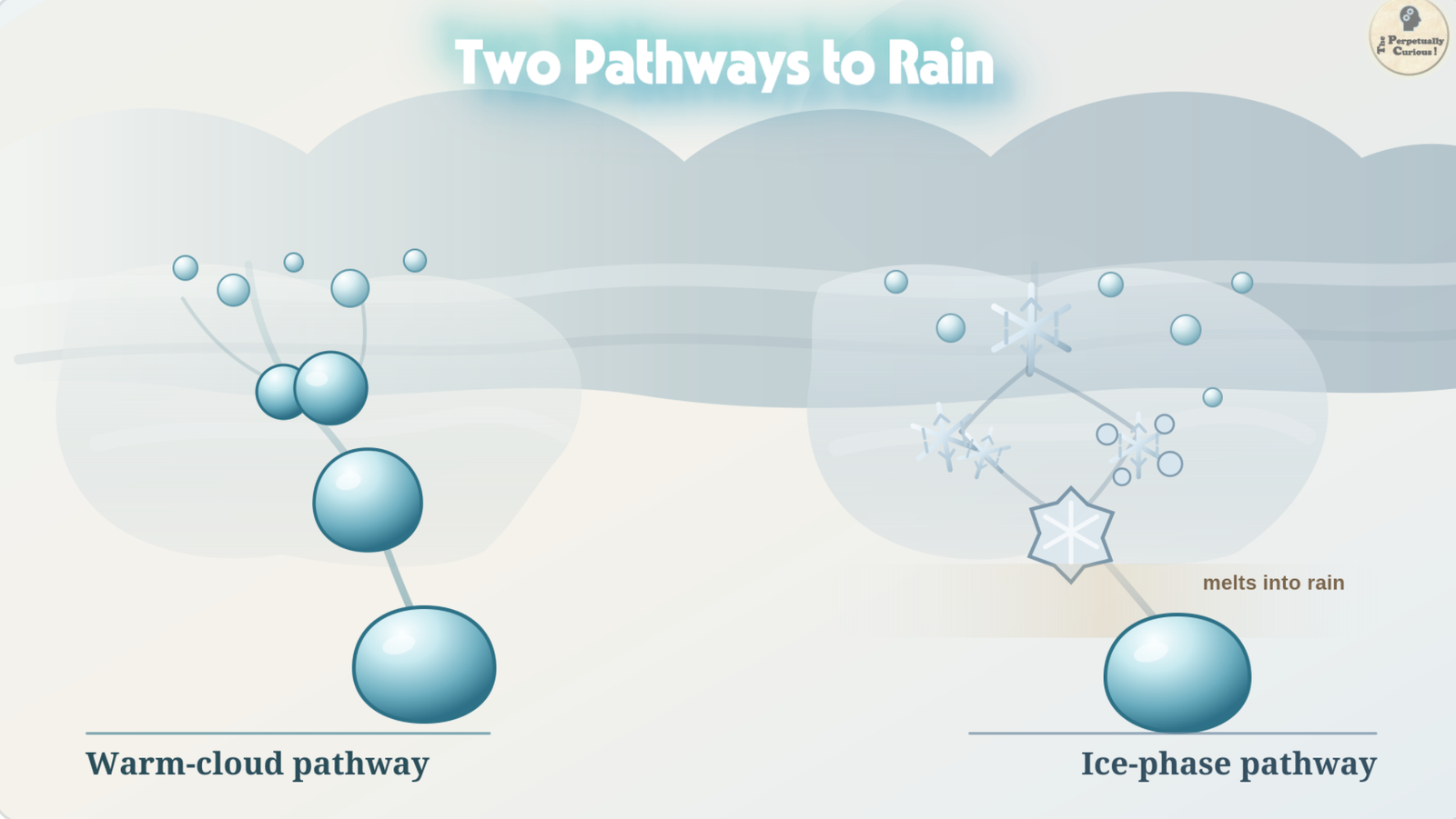 Scientific illustration of warm-cloud collision and coalescence beside an ice-phase pathway in which ice particles grow, descend, and melt into rain.