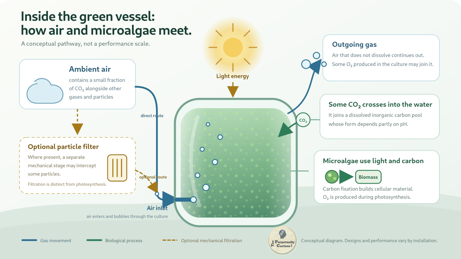Scientific illustration showing ambient air entering a microalgae photobioreactor, carbon dioxide dissolving into the culture, light supporting photosynthesis, oxygen transfer, biomass formation, and an optional separate particle filter.
