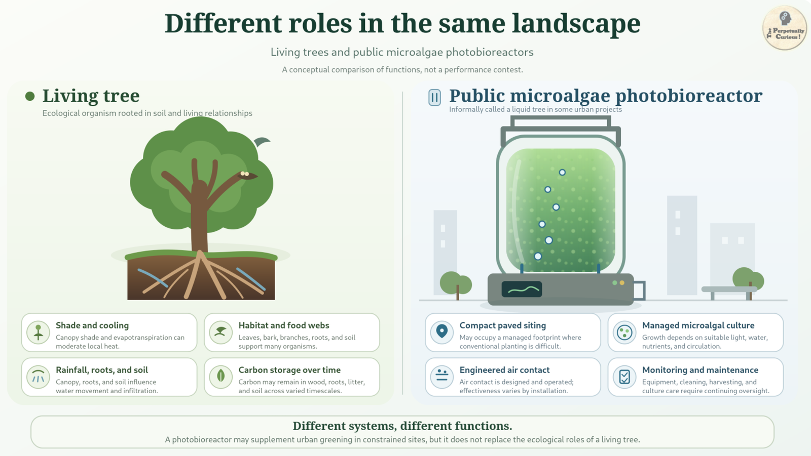 Editorial diagram comparing a living tree rooted in soil with a compact public microalgae photobioreactor, highlighting shade, habitat, roots, managed culture, engineered air contact, monitoring, and maintenance.
