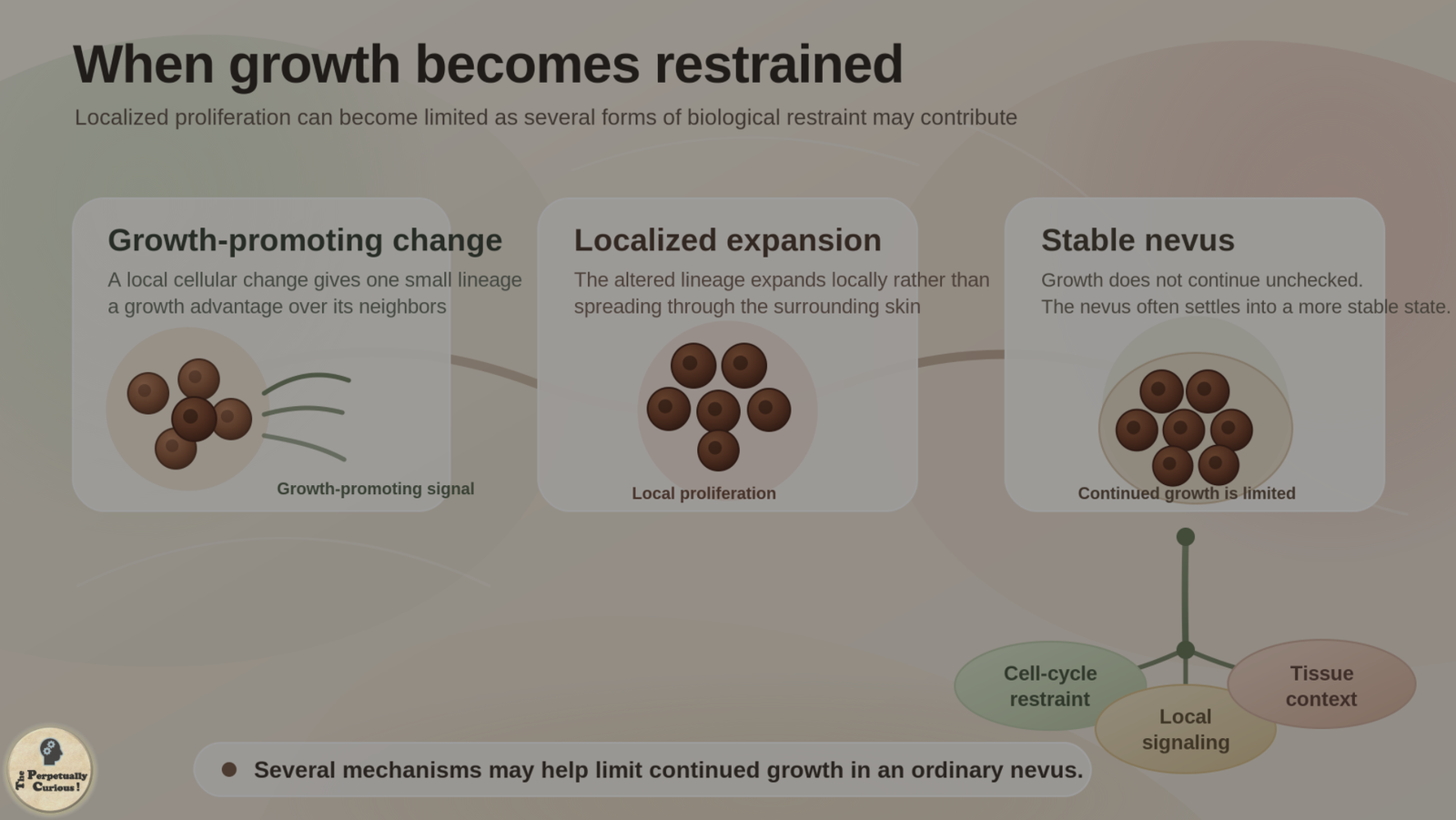 Conceptual rendering showing a growth-promoting cellular change, localized melanocytic expansion, and a more stable nevus alongside layered forms of biological restraint.