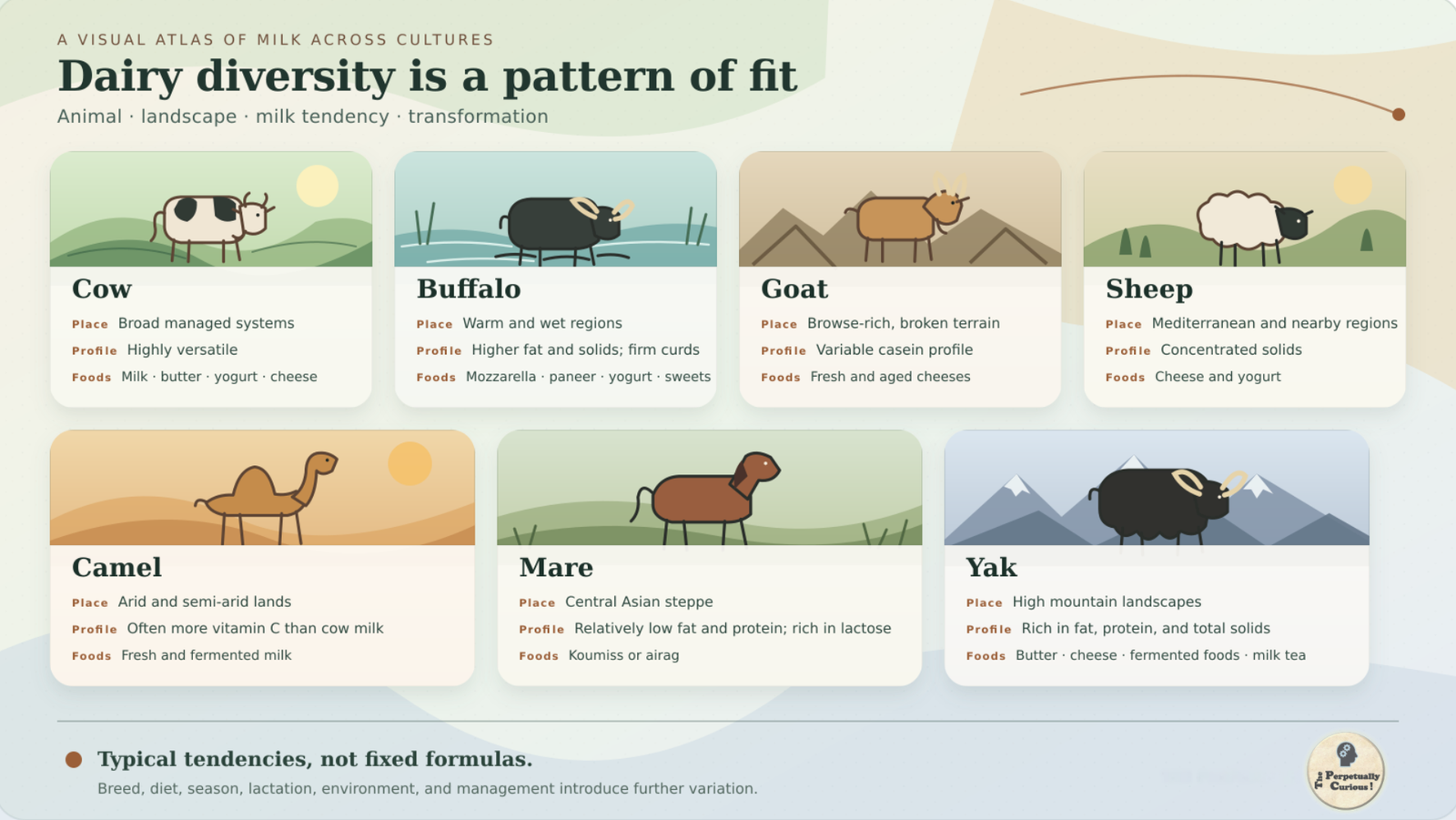 Infographic comparing cow, buffalo, goat, sheep, camel, mare, and yak dairy systems through characteristic landscapes, milk tendencies, and representative foods.