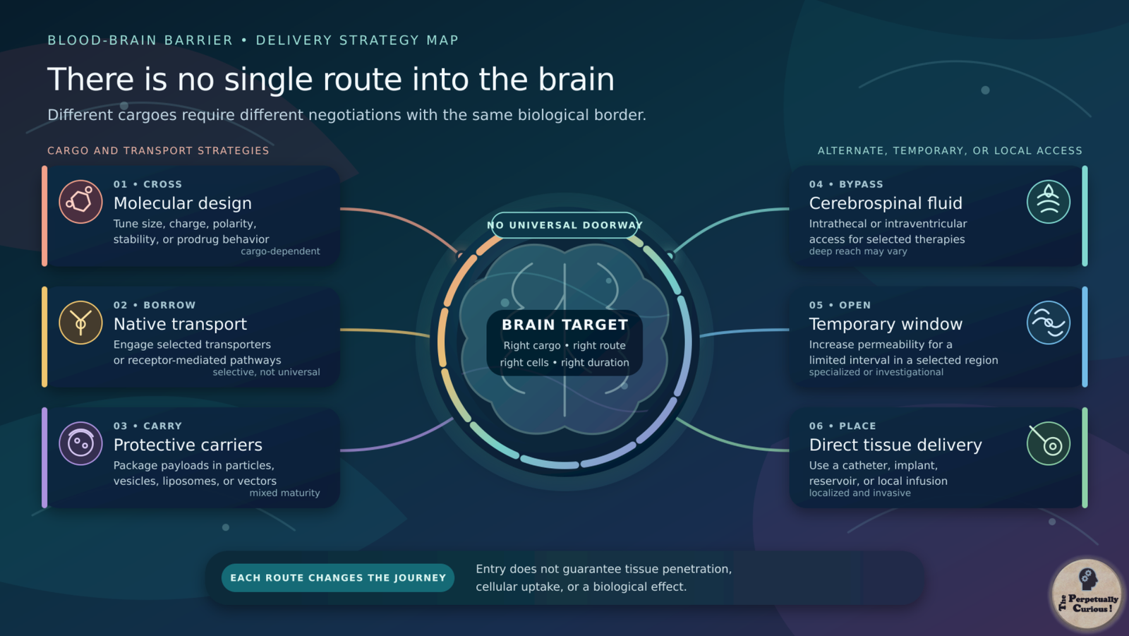 Conceptual diagram of six brain-delivery strategies arranged around a central brain target: molecular design, native transport, protective carriers, cerebrospinal fluid, temporary opening, and direct tissue delivery.