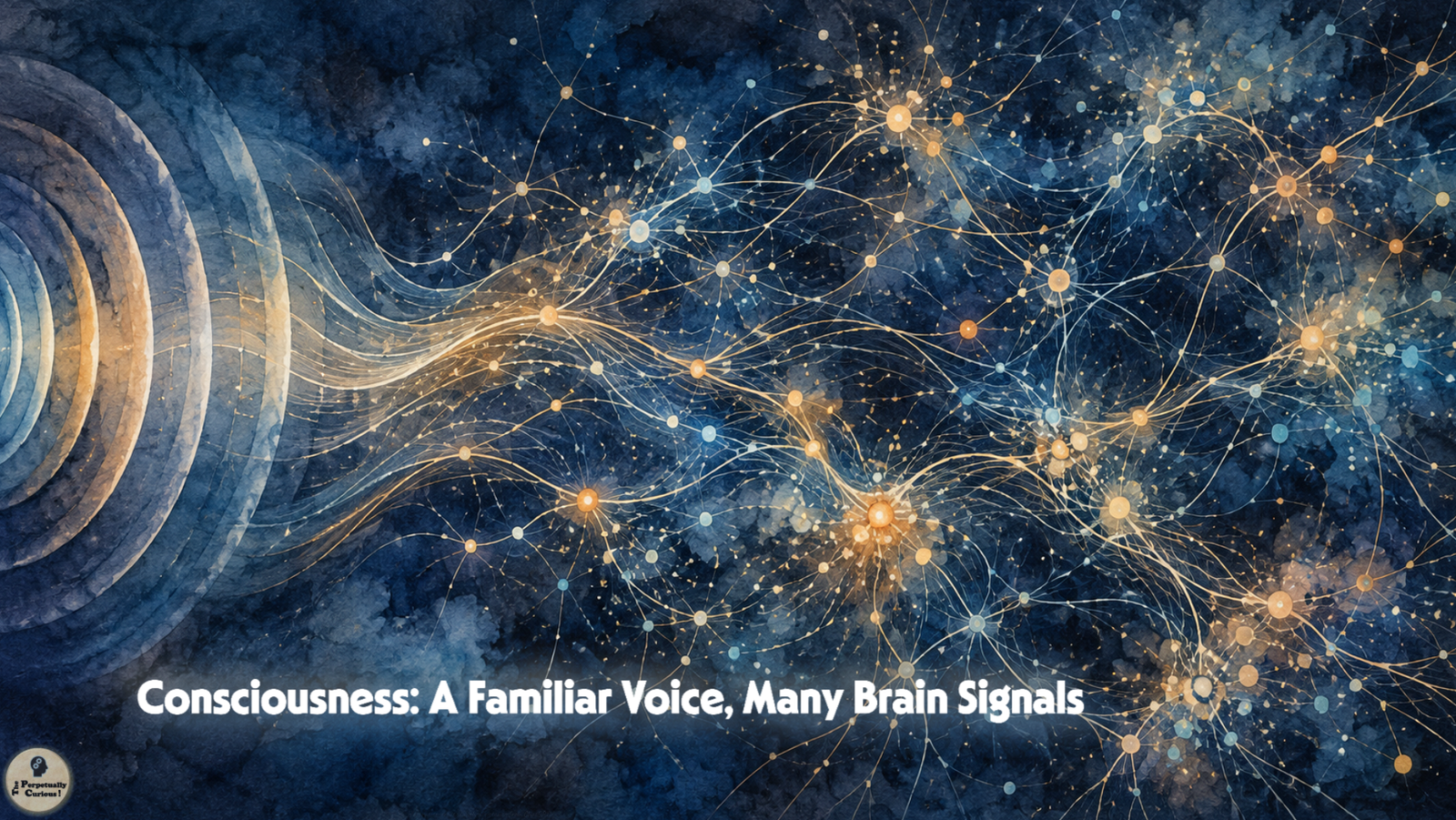Illustration: Sound-like arcs spread into blue and gold branching lines with illuminated nodes on a dark field; the overlay reads “Consciousness: A Familiar Voice, Many Brain Signals.”