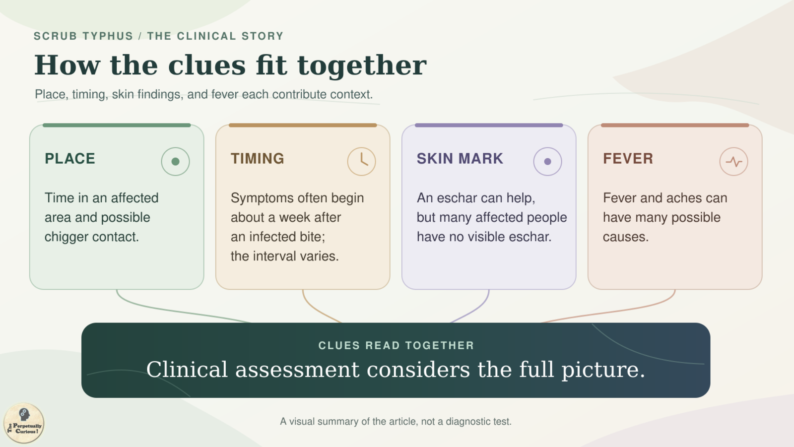 Illustration: Four cards labeled place, timing, skin mark, and fever connect to a statement that clinical assessment considers the full picture.